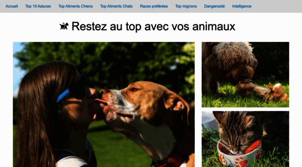 top-animaux.com