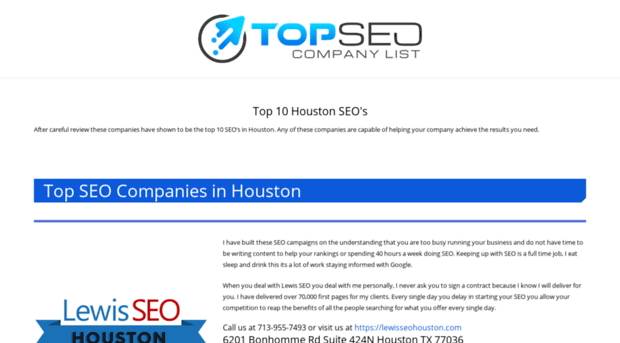 top10houstonseos.com