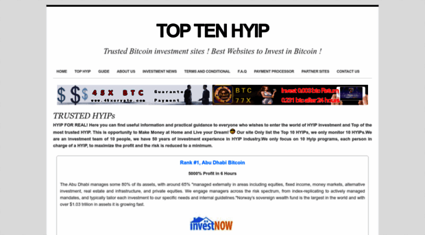 top10hyip.net