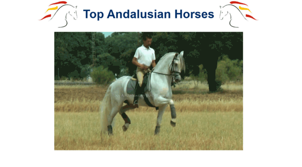 topandalusianhorses.com