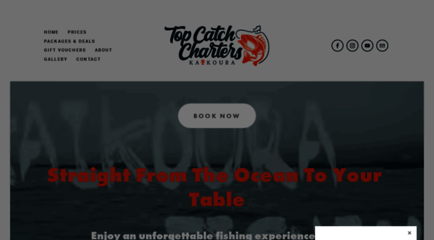 topcatchcharters.co.nz