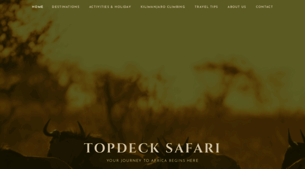 topdecksafaris.wordpress.com