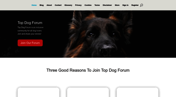 topdogforum.com