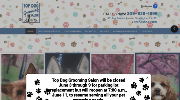 topdoggroomingsalonb-n.com