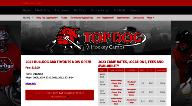 topdoghockey.com