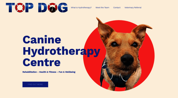 topdoghydrotherapy.com