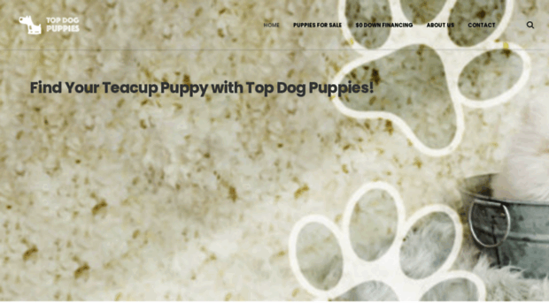 topdogpuppies.com