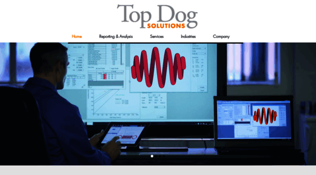 topdogsolutions.com