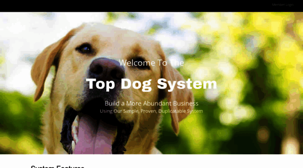 topdogsystem.net