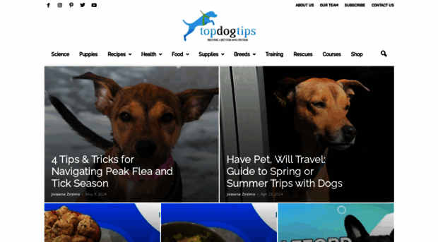 topdogtips.com