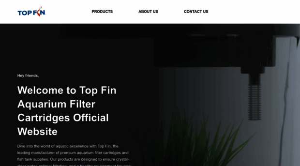 topfininc.com