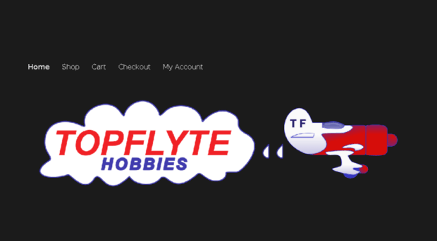 topflyte.co.za