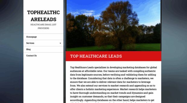 tophealthcareleads.webnode.com