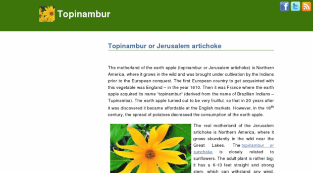 topinamburplant.com