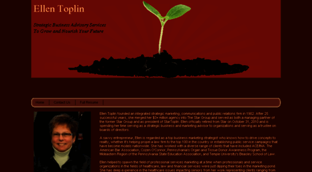 toplin.com