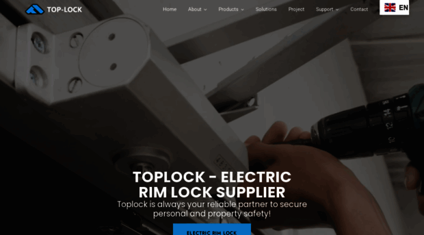 toplocksecurity.com