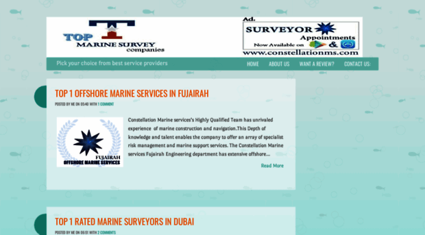 topmarinesurveycompanies.blogspot.com