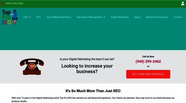 topproseo.com