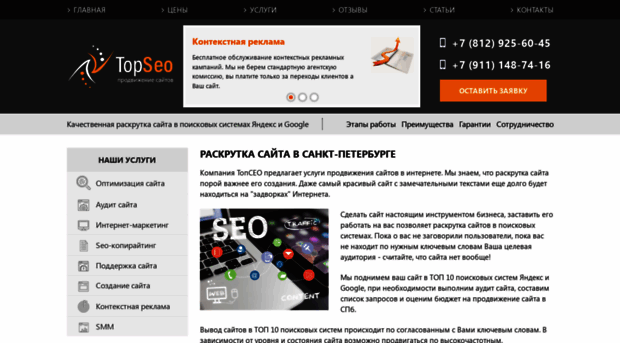 topseo-spb.ru