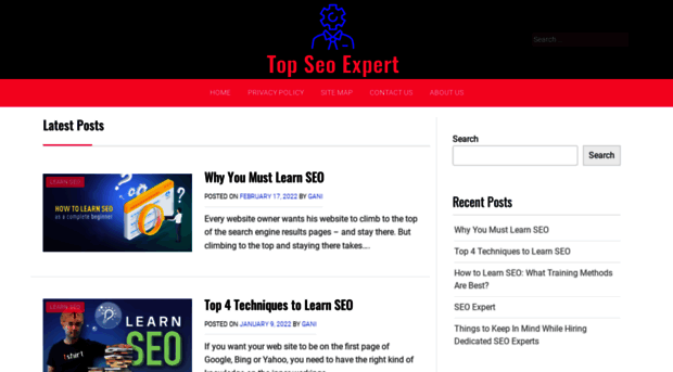 topseoexpert.net