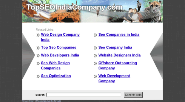 topseoindiacompany.com