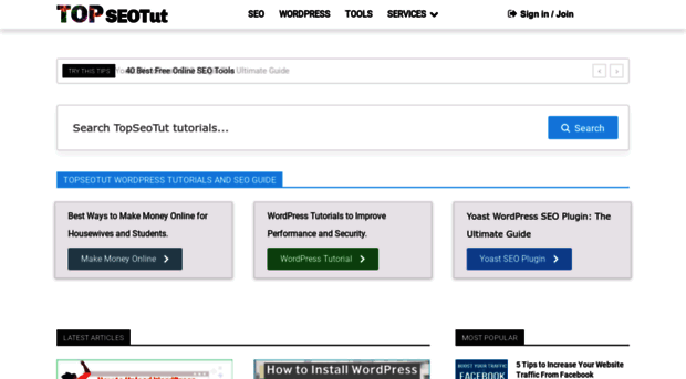topseotut.com