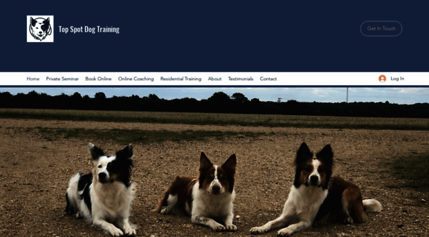 topspotdogtraining.com