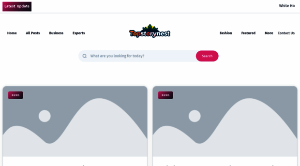 topstorynest.com