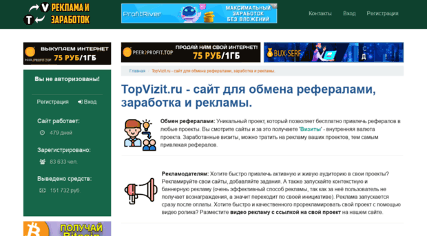 topvizit.ru