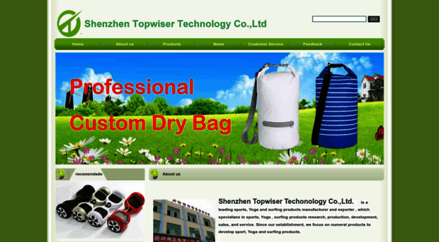 topwisertech.com