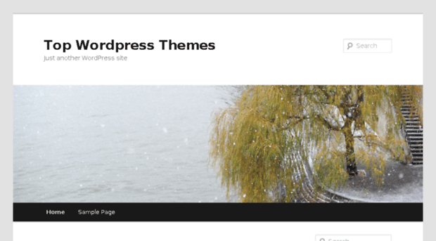 topwordpressthemes.com