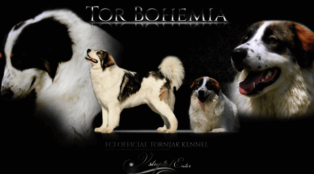 torbohemia.com