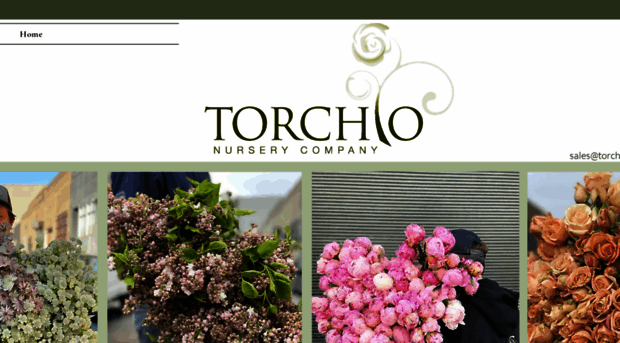 torchionursery.com