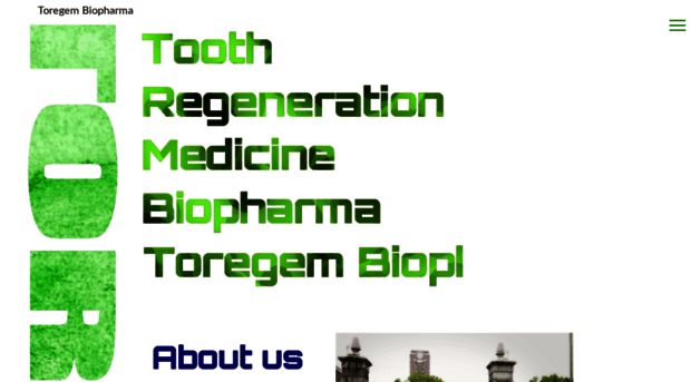 toregem.co.jp