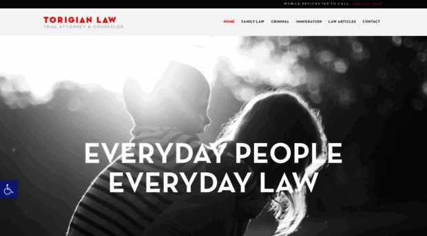 torigianlaw.com