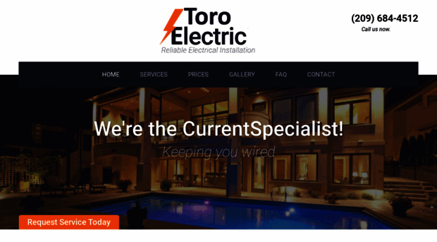 toroelectric.net