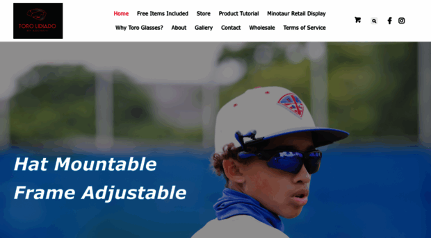 torolidiado.com