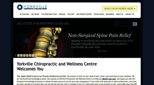 torontobackpainrelief.com