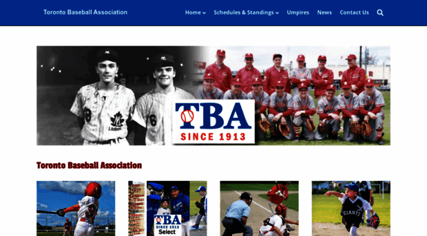 torontobaseball.ca