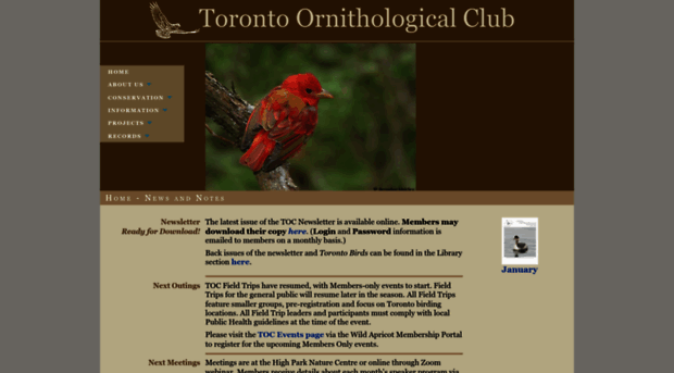 torontobirding.ca