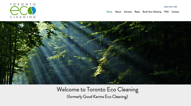 torontoecocleaning.ca