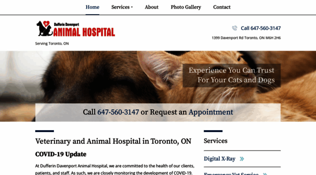 torontoonveterinarian.ca