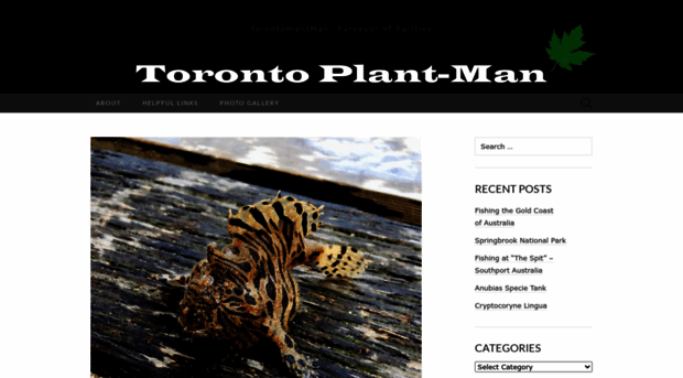 torontoplantman.wordpress.com