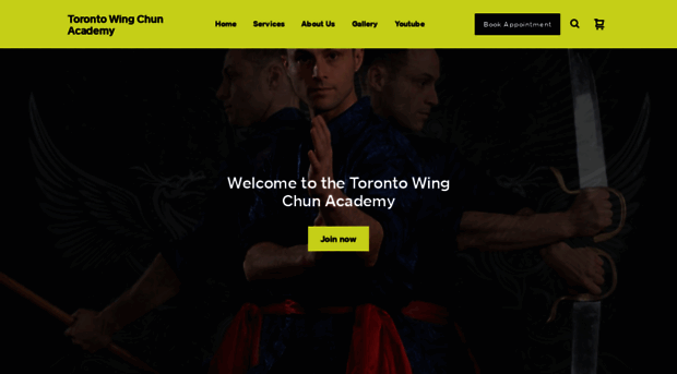 torontowingchun.com