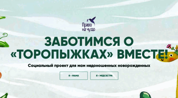 toropyzhki.com