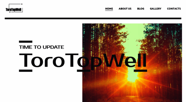 torotopwell.com