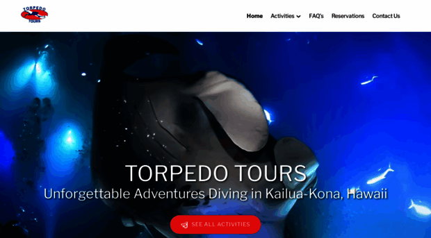 torpedotours.com