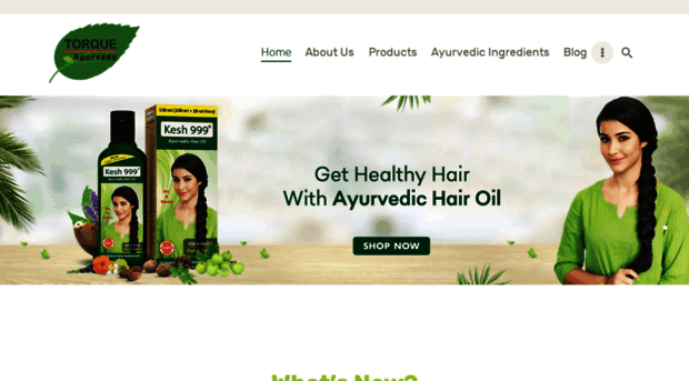 torqueayurveda.com