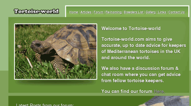 tortoise-world.com