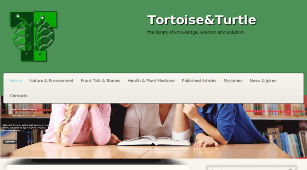 tortoise.com.ng